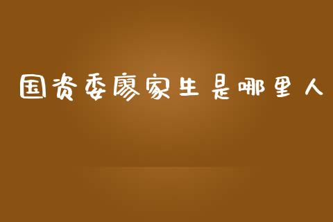 国资委廖家生是哪里人_https://wap.fansifence.com_债券投资_第1张