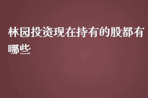 林园投资现在持有的股都有哪些_https://wap.fansifence.com_今日财经_第1张