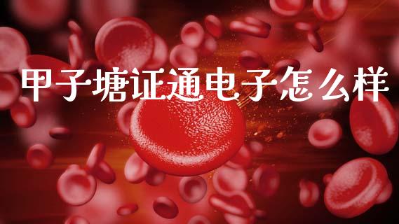 甲子塘证通电子怎么样_https://wap.fansifence.com_债券投资_第1张