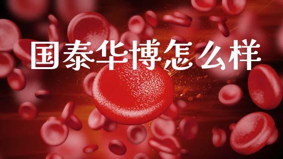 国泰华博怎么样_https://wap.fansifence.com_今日财经_第1张