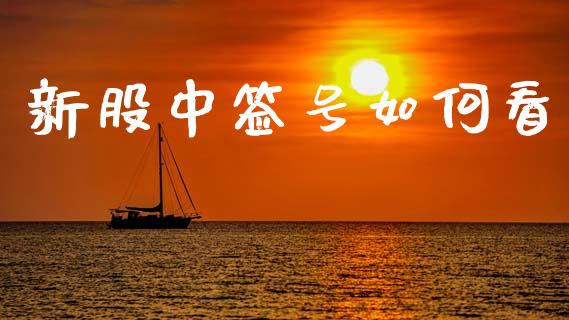 新股中签号如何看_https://wap.fansifence.com_外汇交易_第1张