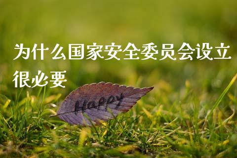 为什么国家安全委员会设立很必要_https://wap.fansifence.com_债券投资_第1张