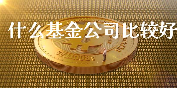 什么基金公司比较好_https://wap.fansifence.com_债券投资_第1张