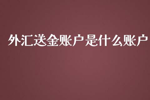 外汇送金账户是什么账户_https://wap.fansifence.com_外汇交易_第1张