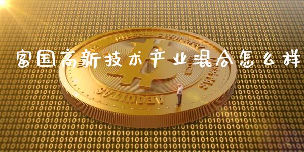 富国高新技术产业混合怎么样_https://wap.fansifence.com_外汇交易_第1张