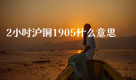 2小时沪铜1905什么意思_https://wap.fansifence.com_外汇交易_第1张