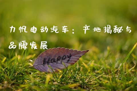 力帆电动汽车：产地揭秘与品牌发展_https://wap.fansifence.com_债券投资_第1张
