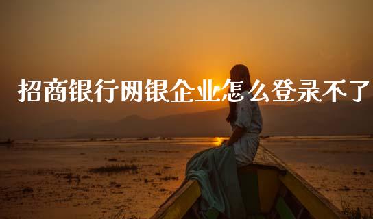 招商银行网银企业怎么登录不了_https://wap.fansifence.com_投资理财_第1张