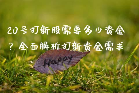 20号打新股需要多少资金？全面解析打新资金需求_https://wap.fansifence.com_投资理财_第1张