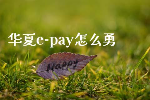 华夏e-pay怎么勇_https://wap.fansifence.com_今日财经_第1张