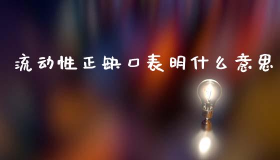 流动性正缺口表明什么意思_https://wap.fansifence.com_外汇交易_第1张