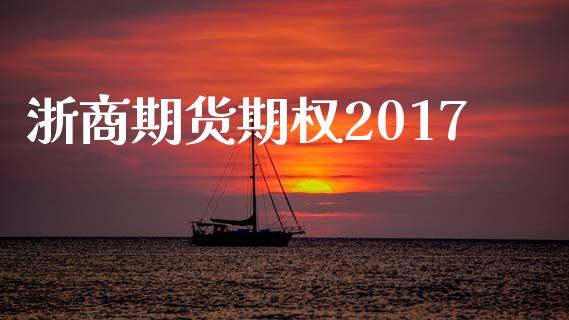 浙商期货期权2017_https://wap.fansifence.com_债券投资_第1张