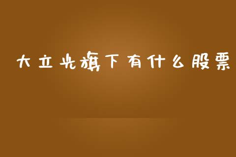 大立光旗下有什么股票_https://wap.fansifence.com_投资理财_第1张