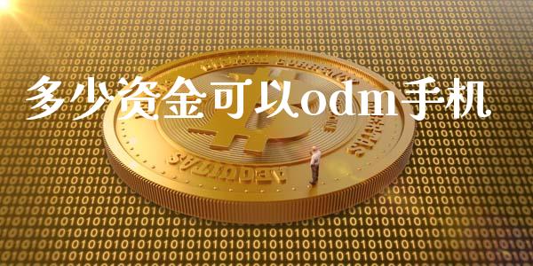 多少资金可以odm手机_https://wap.fansifence.com_债券投资_第1张