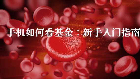 手机如何看基金：新手入门指南_https://wap.fansifence.com_债券投资_第1张
