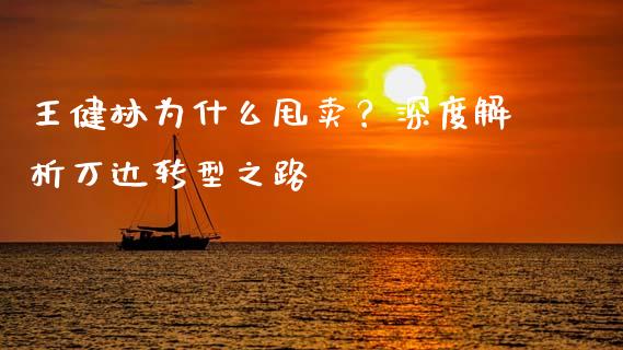 王健林为什么甩卖？深度解析万达转型之路_https://wap.fansifence.com_债券投资_第1张