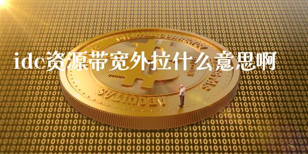 idc资源带宽外拉什么意思啊_https://wap.fansifence.com_外汇交易_第1张