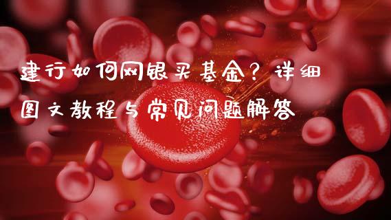 建行如何网银买基金？详细图文教程与常见问题解答_https://wap.fansifence.com_外汇交易_第1张