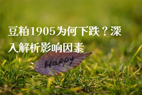 豆粕1905为何下跌？深入解析影响因素_https://wap.fansifence.com_今日财经_第1张