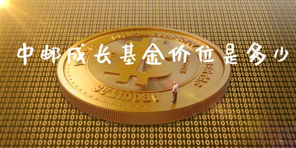 中邮成长基金价位是多少_https://wap.fansifence.com_投资理财_第1张