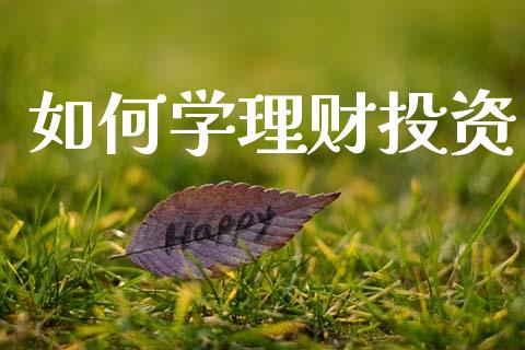 如何学理财投资_https://wap.fansifence.com_今日财经_第1张