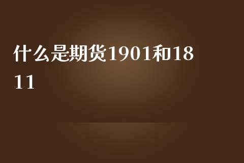 什么是期货1901和1811_https://wap.fansifence.com_今日财经_第1张