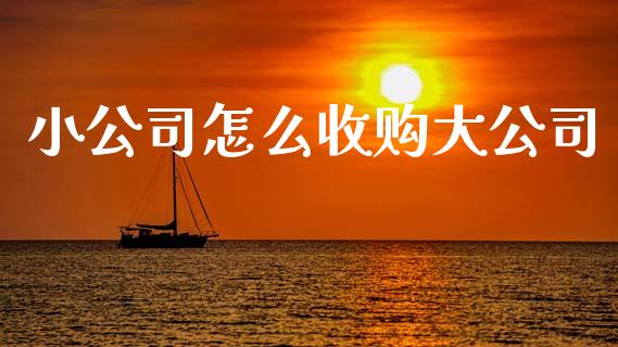 小公司怎么收购大公司_https://wap.fansifence.com_债券投资_第1张