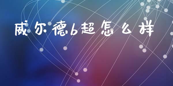 威尔德b超怎么样_https://wap.fansifence.com_投资理财_第1张