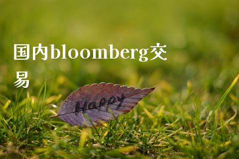 国内bloomberg交易_https://wap.fansifence.com_投资理财_第1张