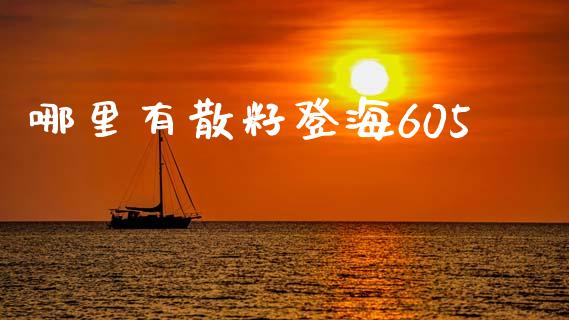 哪里有散籽登海605_https://wap.fansifence.com_投资理财_第1张