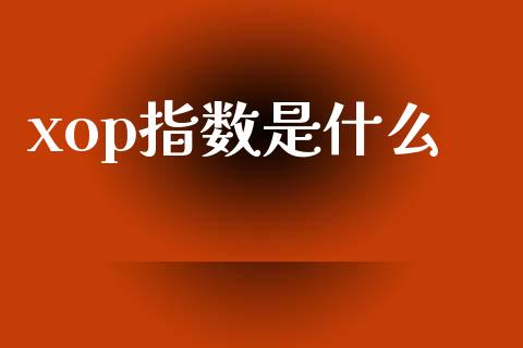 xop指数是什么_https://wap.fansifence.com_投资理财_第1张