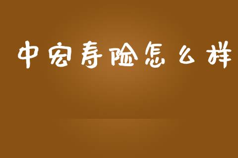 中宏寿险怎么样_https://wap.fansifence.com_投资理财_第1张