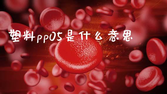 塑料pp05是什么意思_https://wap.fansifence.com_今日财经_第1张