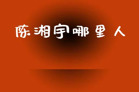 陈湘宇哪里人_https://wap.fansifence.com_债券投资_第1张