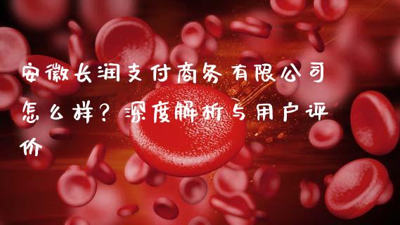 安徽长润支付商务有限公司怎么样？深度解析与用户评价_https://wap.fansifence.com_债券投资_第1张