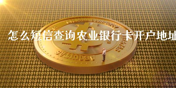 怎么短信查询农业银行卡开户地址_https://wap.fansifence.com_外汇交易_第1张