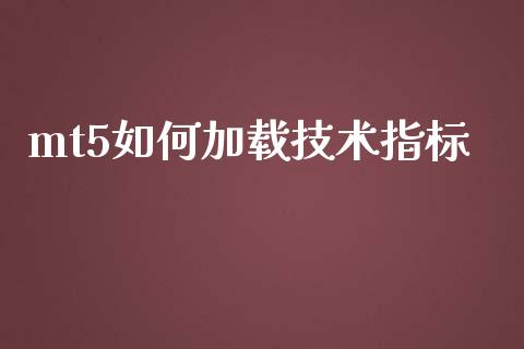 mt5如何加载技术指标_https://wap.fansifence.com_债券投资_第1张