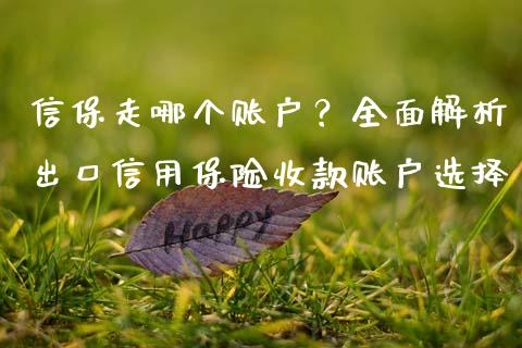 信保走哪个账户？全面解析出口信用保险收款账户选择_https://wap.fansifence.com_今日财经_第1张