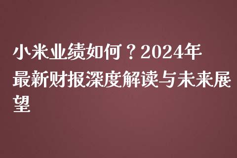 小米业绩如何？2024年最新财报深度解读与未来展望_https://wap.fansifence.com_投资理财_第1张