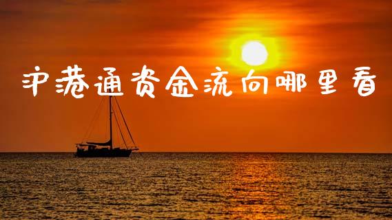 沪港通资金流向哪里看_https://wap.fansifence.com_今日财经_第1张