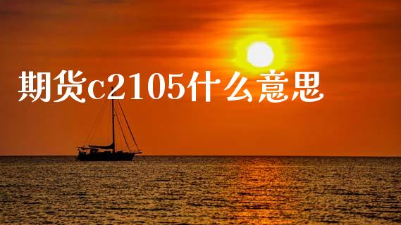 期货c2105什么意思_https://wap.fansifence.com_外汇交易_第1张