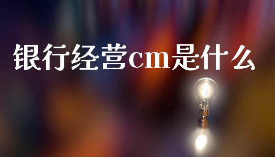 银行经营cm是什么_https://wap.fansifence.com_债券投资_第1张