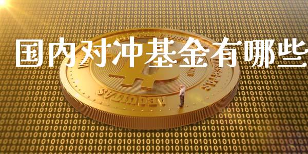 国内对冲基金有哪些_https://wap.fansifence.com_今日财经_第1张