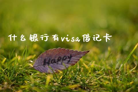 什么银行有visa借记卡_https://wap.fansifence.com_投资理财_第1张