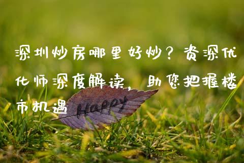 深圳炒房哪里好炒？资深优化师深度解读，助您把握楼市机遇_https://wap.fansifence.com_债券投资_第1张