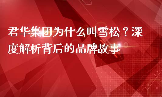 君华集团为什么叫雪松？深度解析背后的品牌故事_https://wap.fansifence.com_投资理财_第1张