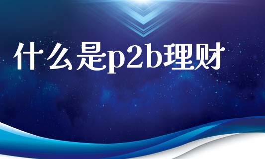 什么是p2b理财_https://wap.fansifence.com_今日财经_第1张