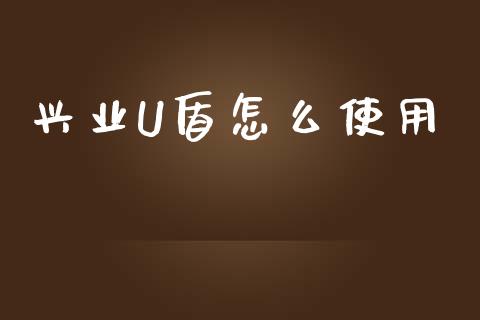 兴业U盾怎么使用_https://wap.fansifence.com_投资理财_第1张