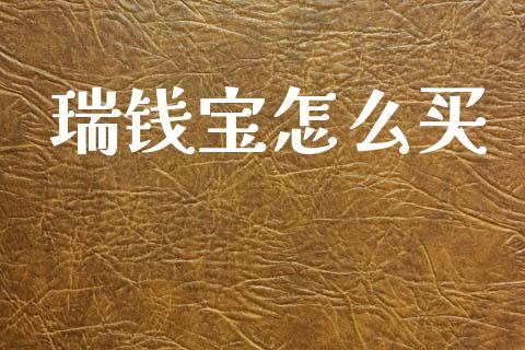 瑞钱宝怎么买_https://wap.fansifence.com_外汇交易_第1张