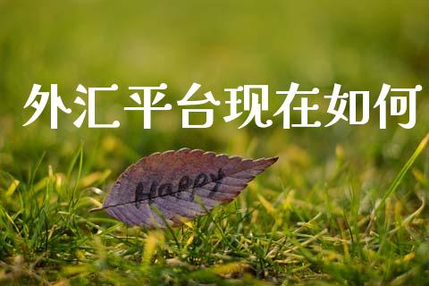 外汇平台现在如何_https://wap.fansifence.com_今日财经_第1张